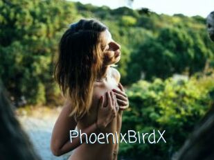 PhoenixBirdX