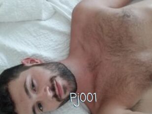 Pj001