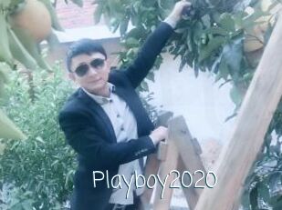 Playboy2020