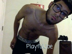 PlayfulJoe