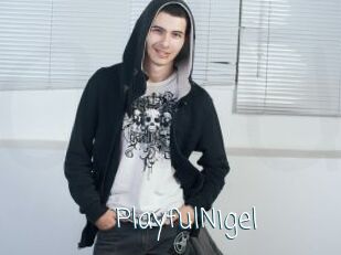 PlayfulNigel