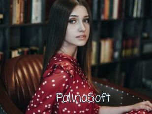 PolinaSoft