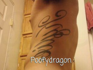 Poofydragon