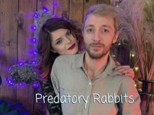 Predatory_Rabbits