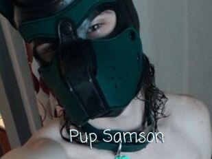 Pup_Samson