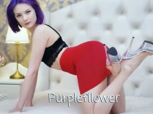 Purplefllower