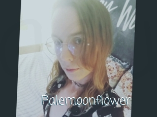 Palemoonflower