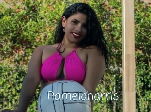 pamelaharris Adult o Porn