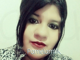 Pamelasuite
