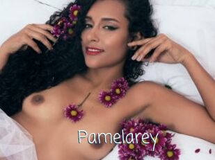 Pamelarey