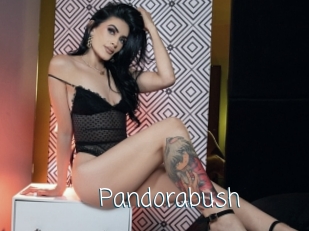 Pandorabush
