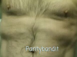 Pantybandit