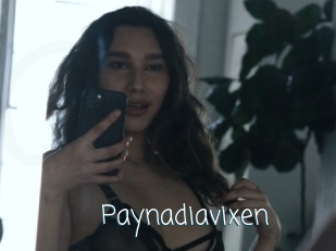 Paynadiavixen