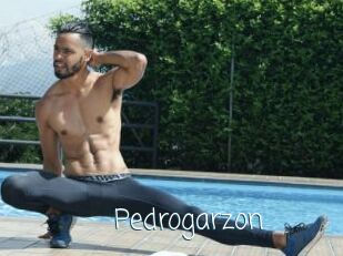 Pedrogarzon