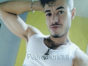 Pedromancini