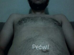 Pedwil