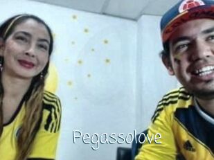 Pegasso_love