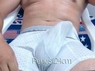Penesi24cm