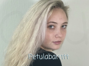 Petulabarritt