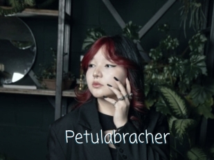 Petulabracher