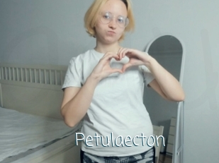 Petulaecton