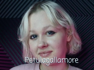 Petulagallamore