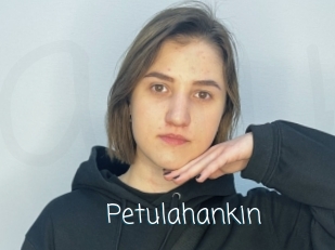 Petulahankin