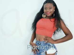 Piamartin
