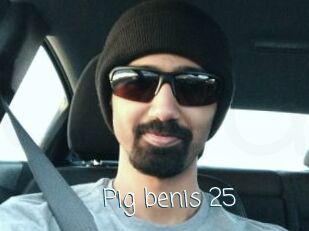 Pig_benis_25
