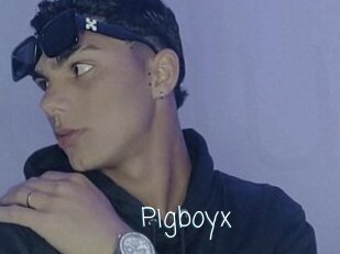 Pigboyx