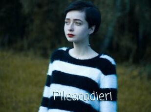 Pileacadieri