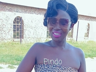 Pindo