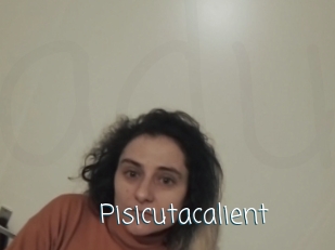 Pisicutacalient