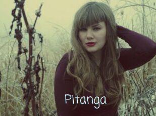 Pitanga