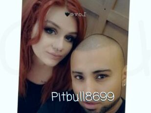 Pitbull8699