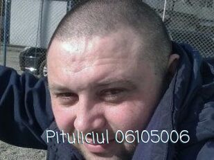 Pituliciul-06105006