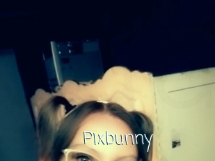 Pixbunny