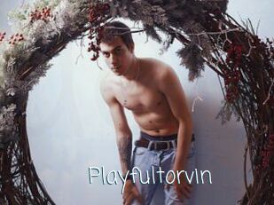 Playfultorvin