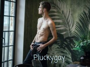 Pluckygay