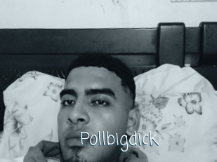Pollbigdick