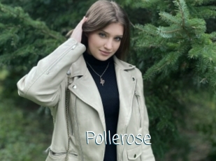 Pollerose