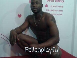 Pollonplayful