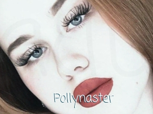 Pollynaster