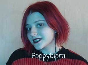 Poppyblom