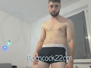 Porncock22cm