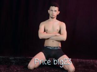 Price_big23