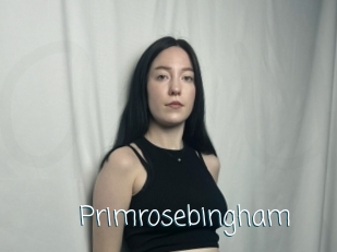 Primrosebingham