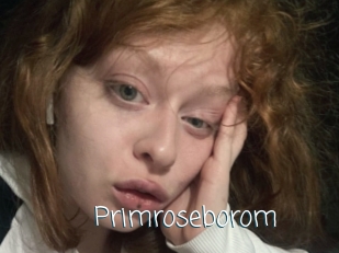 Primroseborom