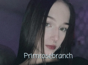 Primrosebranch