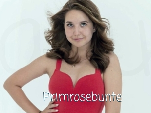 Primrosebunte